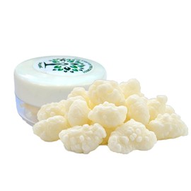 Kefir, Kefir Grains, Scoby, Milk Kefir Grains, Live Starter, Cultures, Bulgaros de Leche, Bulgarian Milk Kefir Grains, Kefir Strainer, Works w/Whole Milk, Coconut Milk, Almond Milk, Oat Milk