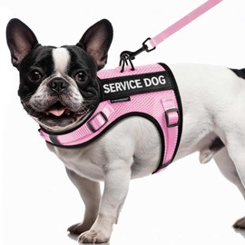 FAYOGOO Service Dog Vest for Small Dogs - Air Mesh Breathble Emotional Support Animal Vest with DIY Removable Patches - Puppy Harness and Leash Set Adjustable Neck and Chest