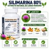 Extracto Sylimarina 80% Cardo Mariano Zy-Life 90 Caps Apoyo Hepático