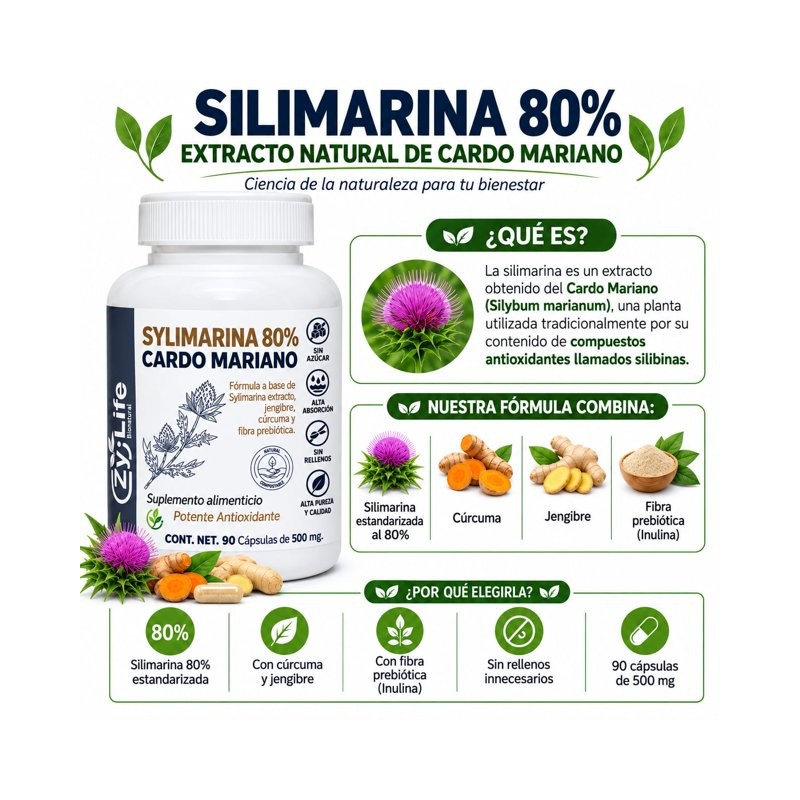 Extracto Sylimarina 80% Cardo Mariano Zy-Life 90 Caps Apoyo Hepático