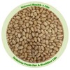 Natural Health 4 Life Raw Nuts Pine Nuts 100 g