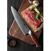 XINZUO 10 Inch Damascus Chef Knife Kitchen Knife Sharp Gyuto