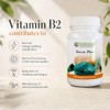 Dual-Source Boron 3mg with Vitamin B2 | Health Leads
