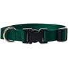 LupinePet Basics 3/4" Green 9-14" Adjustable Collar for Small Dogs