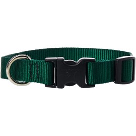 LupinePet Basics 3/4" Green 9-14" Adjustable Collar for Small Dogs