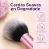 Brochas de Maquillaje Profesional 15 Set,Face Base Set,Maquillaje con Esponja