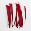 OBTOUTDOOR Pack of 60 Archery Arrow Feathers, 4 Inch Natural