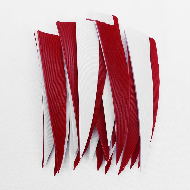 OBTOUTDOOR Pack of 60 Archery Arrow Feathers, 4 Inch Natural