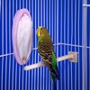 Penn-Plax Bird-Life 2-in-1 E-Cuttlebone & Mineral Block – Bananna &