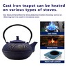 YJX 84.6oz/2500ml Big Cast Iron Tea Kettle for 5 to