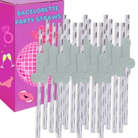 Bachelorette Party Favors Decorations Drinking Girls Funny birthday Paper Straws disposable biodegradable - SILVER STRIPES - set of 20