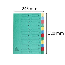 Exacompta 5124E Premium Folder Made of Extra Strong Colorspan Cardboard DIN A4 24 Full-Colour Colourful Compartments with Organiser Print and Stretchy Spine Ring Binder Index Folder Green