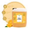 Tónico Facial Productos Mart Mexico Naranja Vitamina C 5L Piel