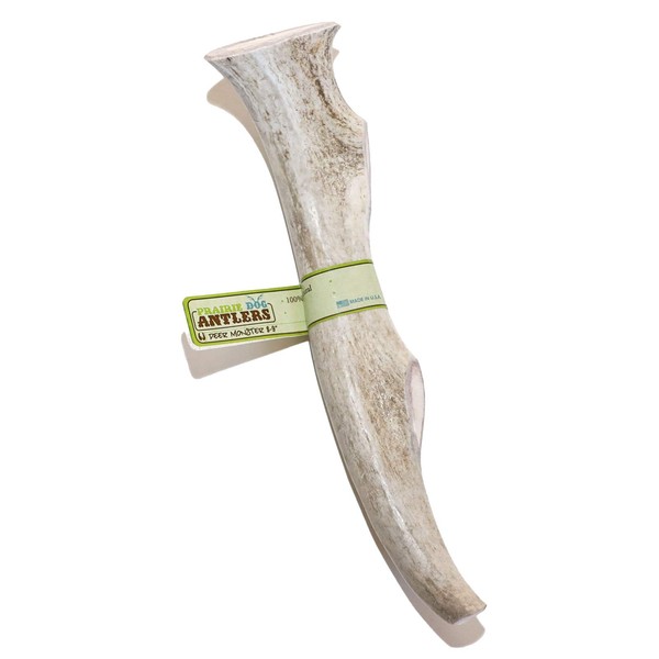 Prairie Dog Pet Products Deer Antler Monster Treat, 8-9" (Assorted