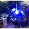 Miracle LED Plant Life Cycle LED Grow Light Kit with