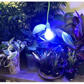 Miracle LED Plant Life Cycle LED Grow Light Kit with 3 Almost Free Energy Bulbs for Three Stages of Growing (2-Pack)