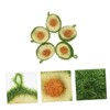 LIFKOME 5-Pack Dishwashing Scourers Dishwasher Dishwashing Pads Household Dish Sponges