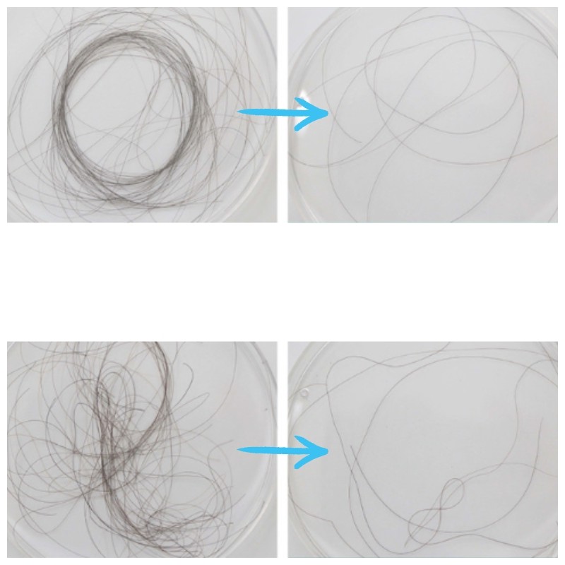 DR.OREGONIN Taxifolin Hair Loss Treatment 550ml