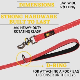 Adityna - Comfortable 6 ft Red Dog Leash for Small, Medium, Large Dog Breeds - Double Handle Padded with Ultra Soft Neoprene - Heavy Duty, Reflective, Weatherproof, and Chew Proof Dog Lead
