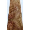 Carpathian Elm Burl wood veneer 3.5" x 25" with paper