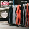 Gallant Resistance Bands - Pull Up Bands Set - Different