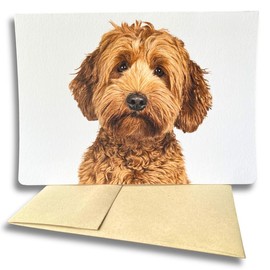 Fava Bean Productions Goldendoodle Card for All Occasions, Doodle Card Headshot Pose (1 Premium Card, 5x7 inches, Blank Inside) Card with Dogs, Card with Golden Doodle, Goldendoodle Gifts - 382