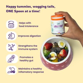 Unleash Wellness Jolly Gut Pre & Probiotic Supplement, Dogs & Cats, Diarrhea & Bowel Support, Improved Digestion, Immunity, Digestive Enzymes for Gut Flora, Suitable for All Breeds & Ages 200 GMS