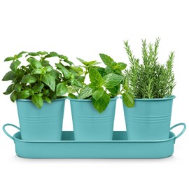 Plexon Herb Planter Indoor Garden Set of 3 with Tray, Metal Herb Pots for Indoor Plants, Round Kitchen Garden Kit Ideal for Windowsill Planter or Countertop, Tiffany Blue Powder Coated