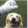 Callaway ONE Callaway Chrome Tour GOLDEN RETRIEVER Let the Big