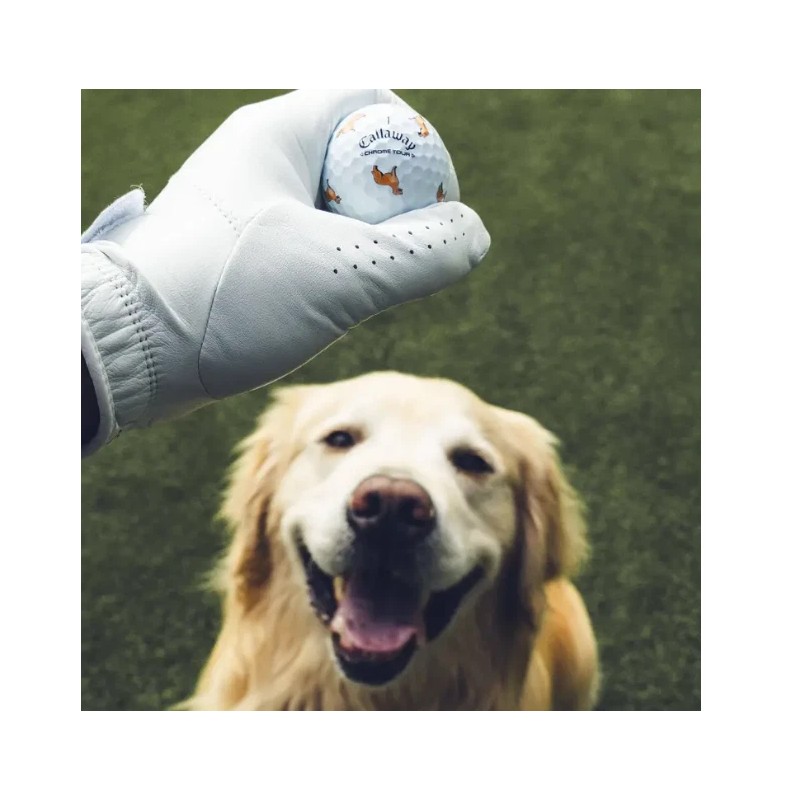 Callaway ONE Callaway Chrome Tour GOLDEN RETRIEVER Let the Big