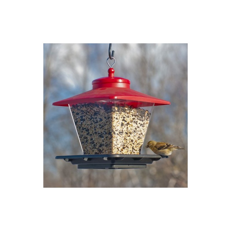 Woodlink NA6228 Audubon Hopper Cafe Wild Bird Feeder