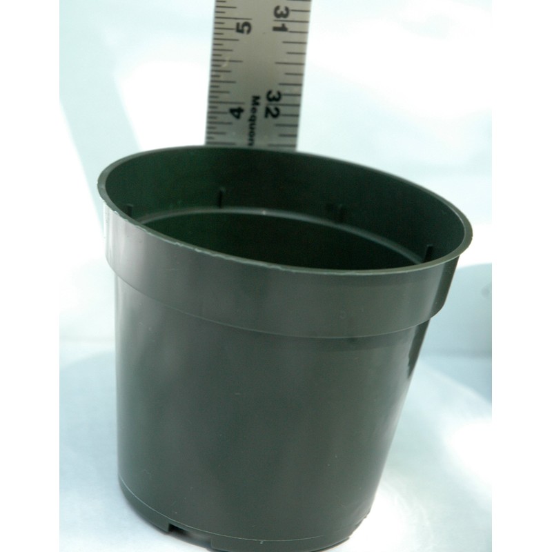 Dillen 4 Inch Standard Plastic Pots for Plants, Cutting, and