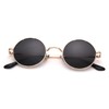 Pro Acme Retro Small Round Polarized Sunglasses for Men Women