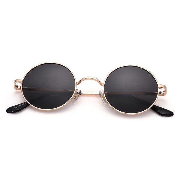 Pro Acme Retro Small Round Polarized Sunglasses for Men Women