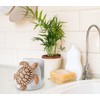 dgudgu Turtle Kitchen Sponge Holder for Kitchen Sink Ceramic Kitchen
