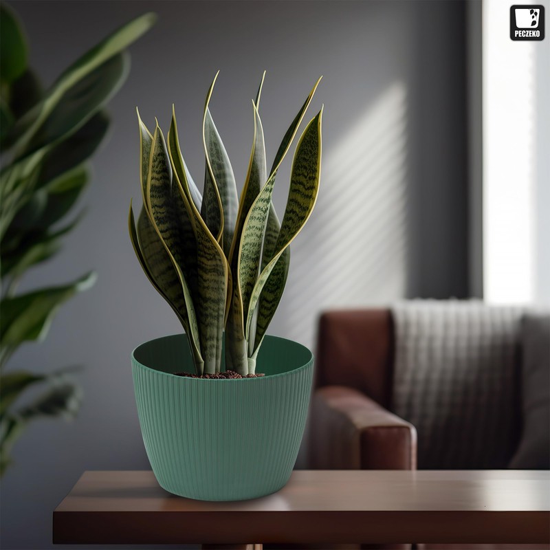 TULMERO Matte Flower Pot, Plastic Planter, Decorative Pot for Large