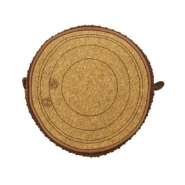 Marushin 1165045700 Pouch (Large) Ghibli My Neighbor Totoro Log Corduroy Cork Present Gift Birthday Makeup Cosmetic Accessory Case