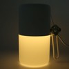 300ml Air Humidifier Mist Maker Sprayer Night Light USB Plug