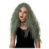 California Costumes Enchanted Waves Wig, Gray/Green, Acc