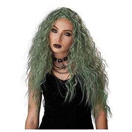 California Costumes Enchanted Waves Wig, Gray/Green, Acc