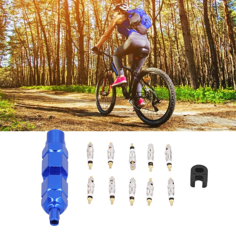 10PCS Bike Valve Core Remover Tool Kit Repair Set French