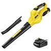 SnapFresh Cordless Leaf Blower - 180 CFM Leaf Blower with