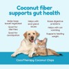 CocoTherapy Coconut Chips - 6 oz Each (3 Pack)