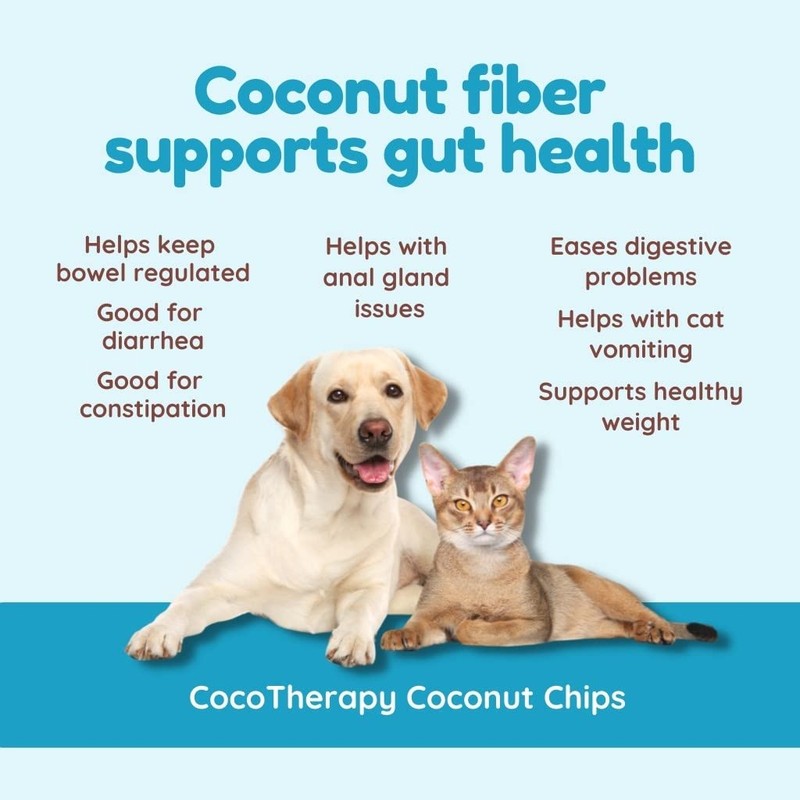 CocoTherapy Coconut Chips - 6 oz Each (3 Pack)