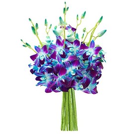 KaBloom Exotic Sapphire Orchid Bouquet of Blue Orchids from Thailand