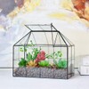 Large Glass Terrarium House Planter – Succulent Plant Glass Greenhouse