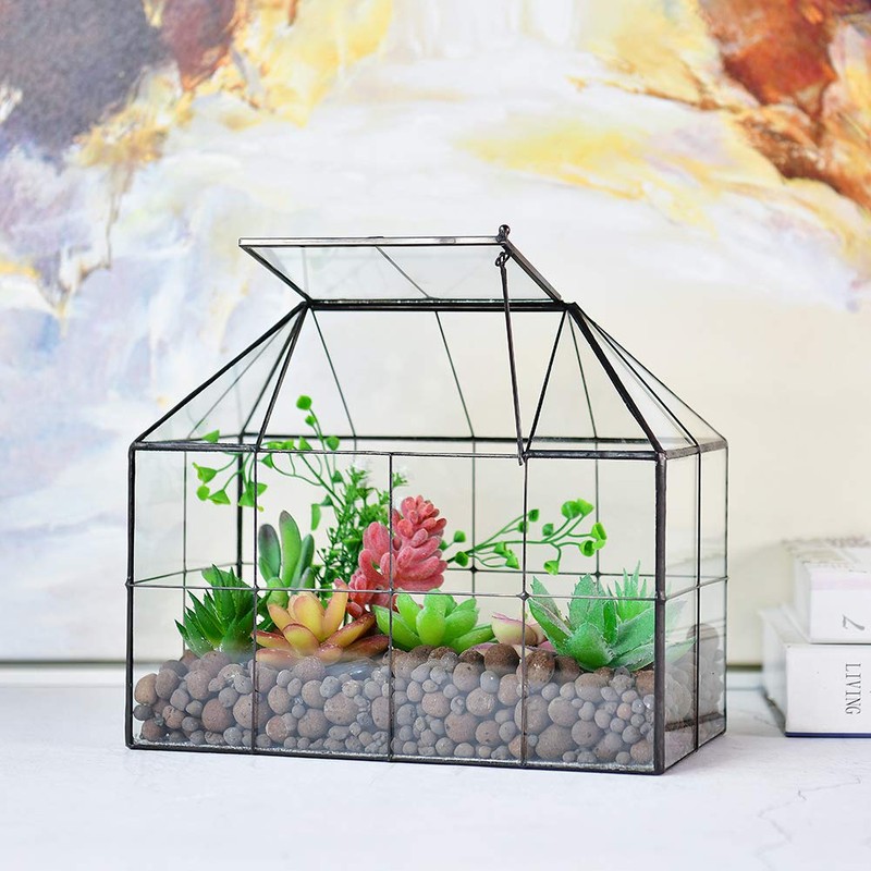 Large Glass Terrarium House Planter – Succulent Plant Glass Greenhouse