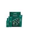 AVEDA Botanical Repair Strengthening Esssentials, gift set (shampoo, conditioner and