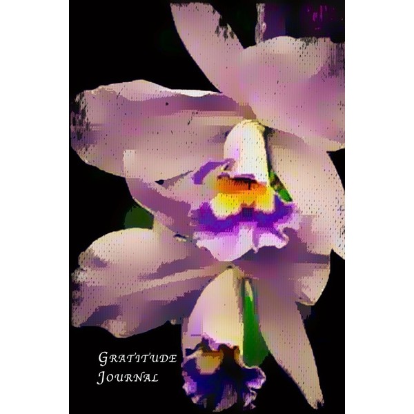 Gratitude Journal: 52 Weeks Writing Cultivating Attitude of Gratitude I