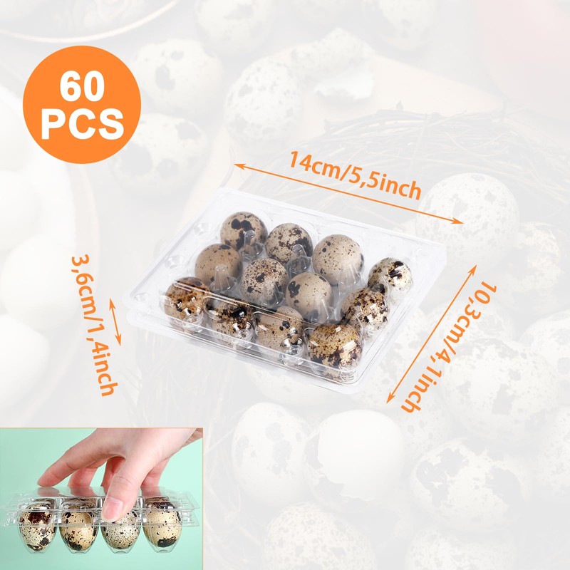 Oungy Pack of 60 Quail Egg Boxes, 12 Grid Quail